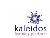 Kaleidos Learning Platform Y