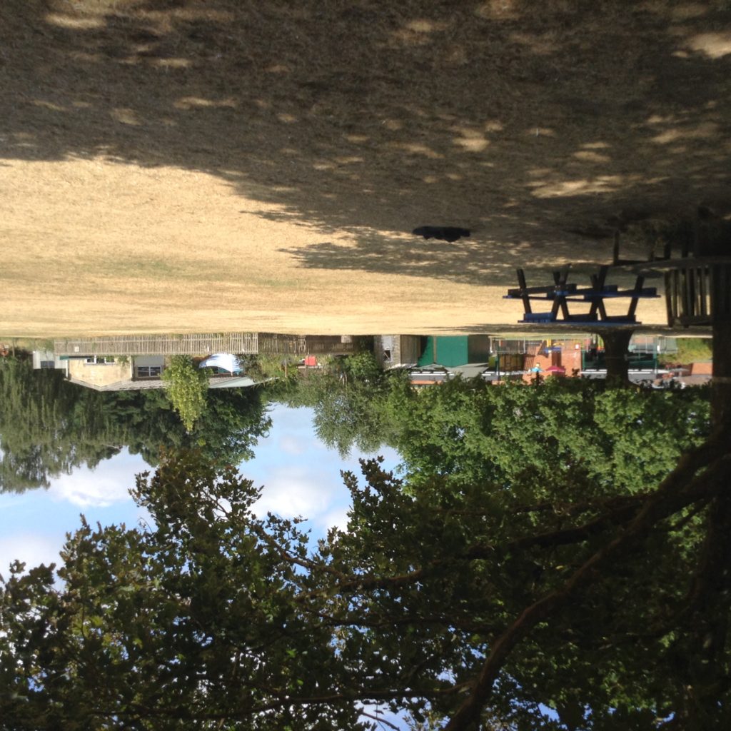 School allotments